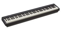 ROLAND FP-10 BK